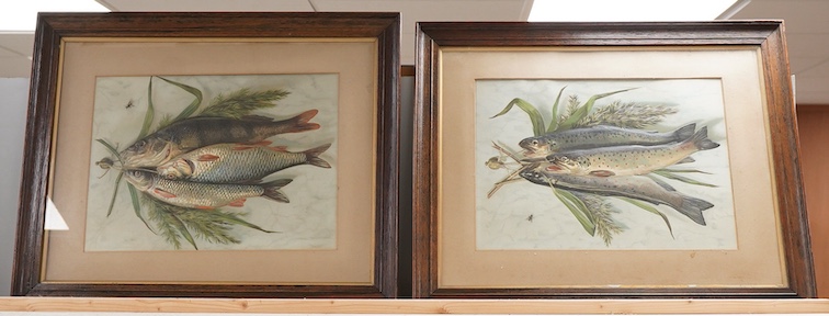 Late 19th century, Studies of fish, pair of embossed chromolithographs, each 26 x 35cm